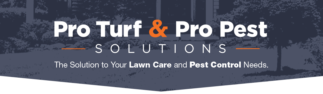 pro turf lawn care pro pest control home image