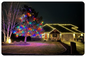 BOG Holiday Lights 4