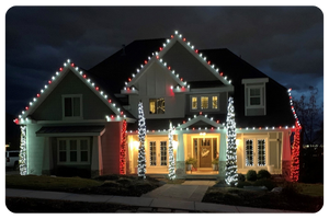 Christmas Lights 1