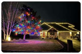 Christmas Lights 5