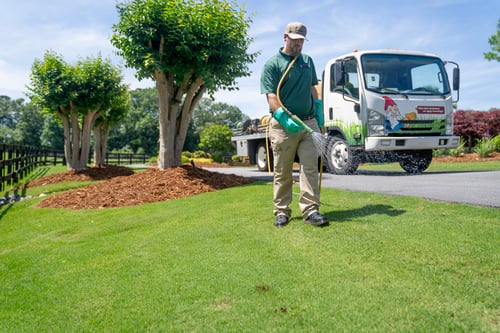 FIRE ANT TREATMENT PLAN