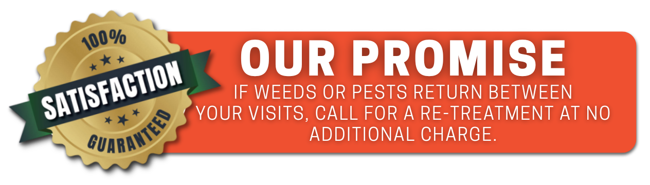 PTPP Promise