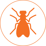 pro_pest_pest_control_HOUSE_FLY_GRAPHIC_orange-1