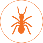 pro_pest_pest_control_ant_graphic_hover