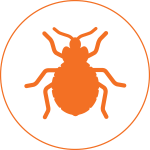 pro_pest_pest_control_bed_bug_graphic_hover