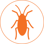 pro_pest_pest_control_roach_graphic_hover-1