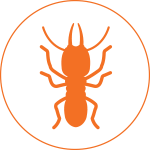 pro_pest_pest_control_termite_graphic_hover