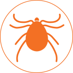 pro_pest_pest_control_tick_graphic_hover