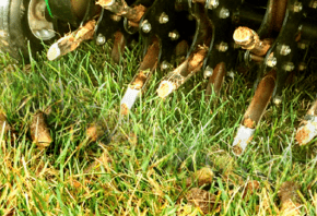 pro_turf_lawn_yard_control_AERATION_GRAPHIC_large-300x211