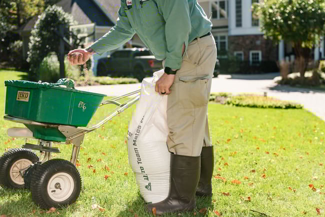 lawn tech from pro turf coal valley fertilizing lawn