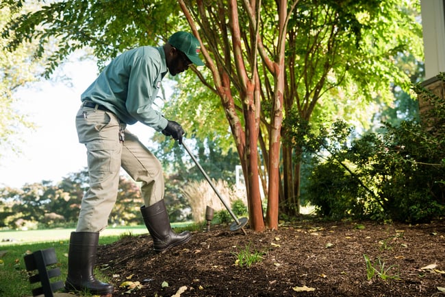lawn tech from pro turf pro pest bettendorf servicing for tree & shrub treatment