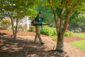 pro teurf bennington lawn tech providing tree & shrub services