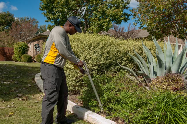 pro turf bennington lawn tech deep root feeding for tree & shrub treatment