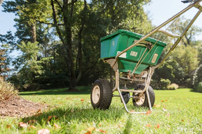 pro turf bennington lawn tech overseeding aerated lawn