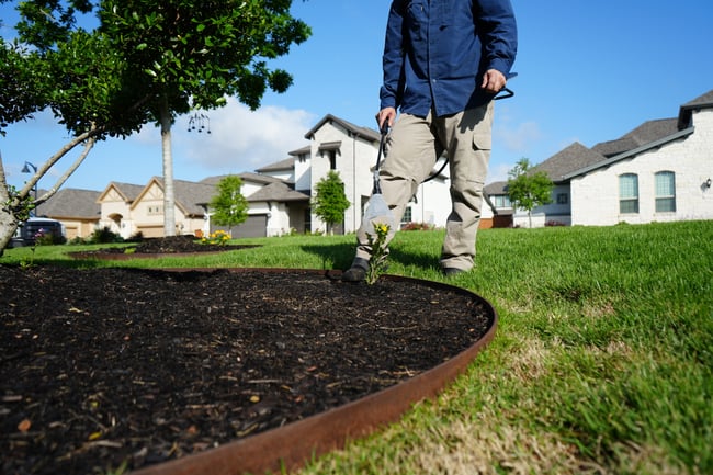 pro turf bettendorf lawn tech servicing for weed control