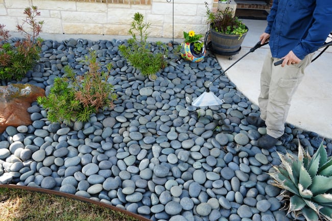 pro turf coal valley lawn tech providing weed control services