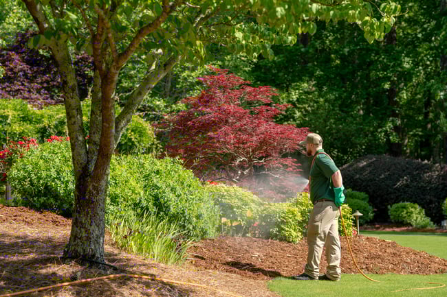pro turf coal valley lawn tech spraying tree and shrub treatment