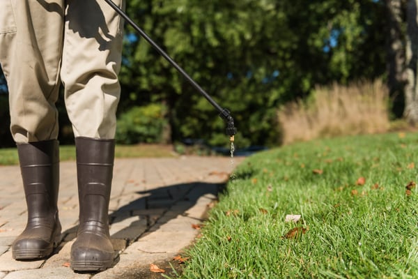 pro turf lawn tech servicing bolingbrook lawn for weed control