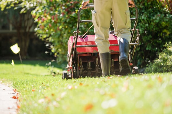 pro turf naperville core aeration and overseeding services