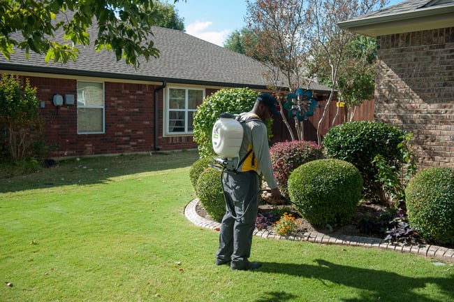 pro turf papillion lawn tech spraying for weeds
