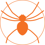 pro_pest_pest_control_spider_graphic_hover