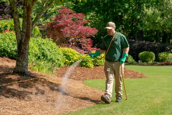 shorewood pro turf servicing lawn for tree and shrub