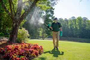 why outdoor pest control is essential